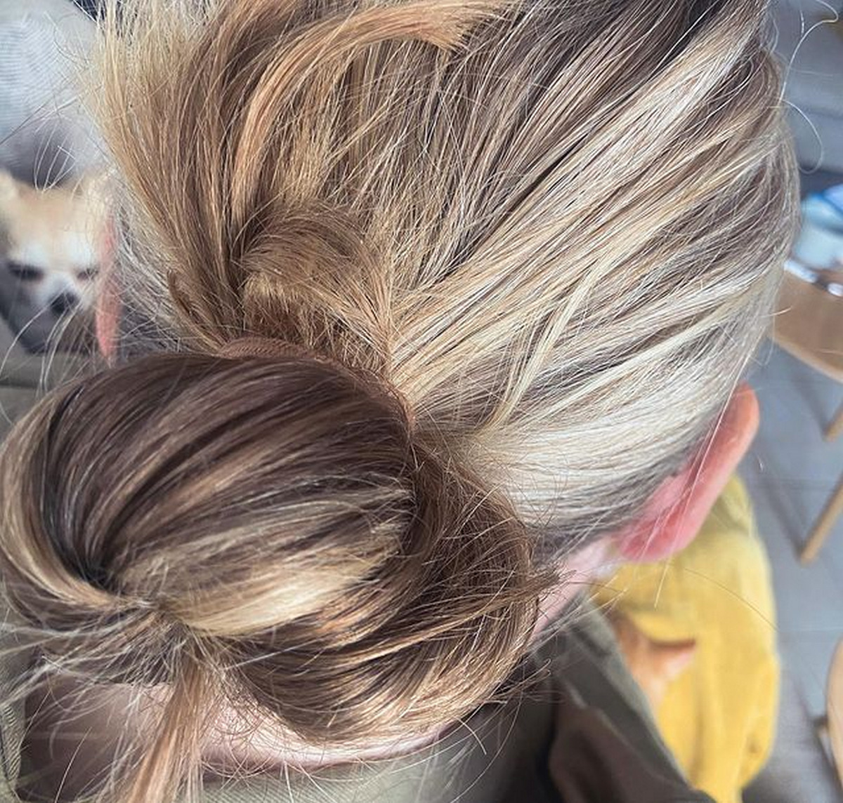 Classic bun