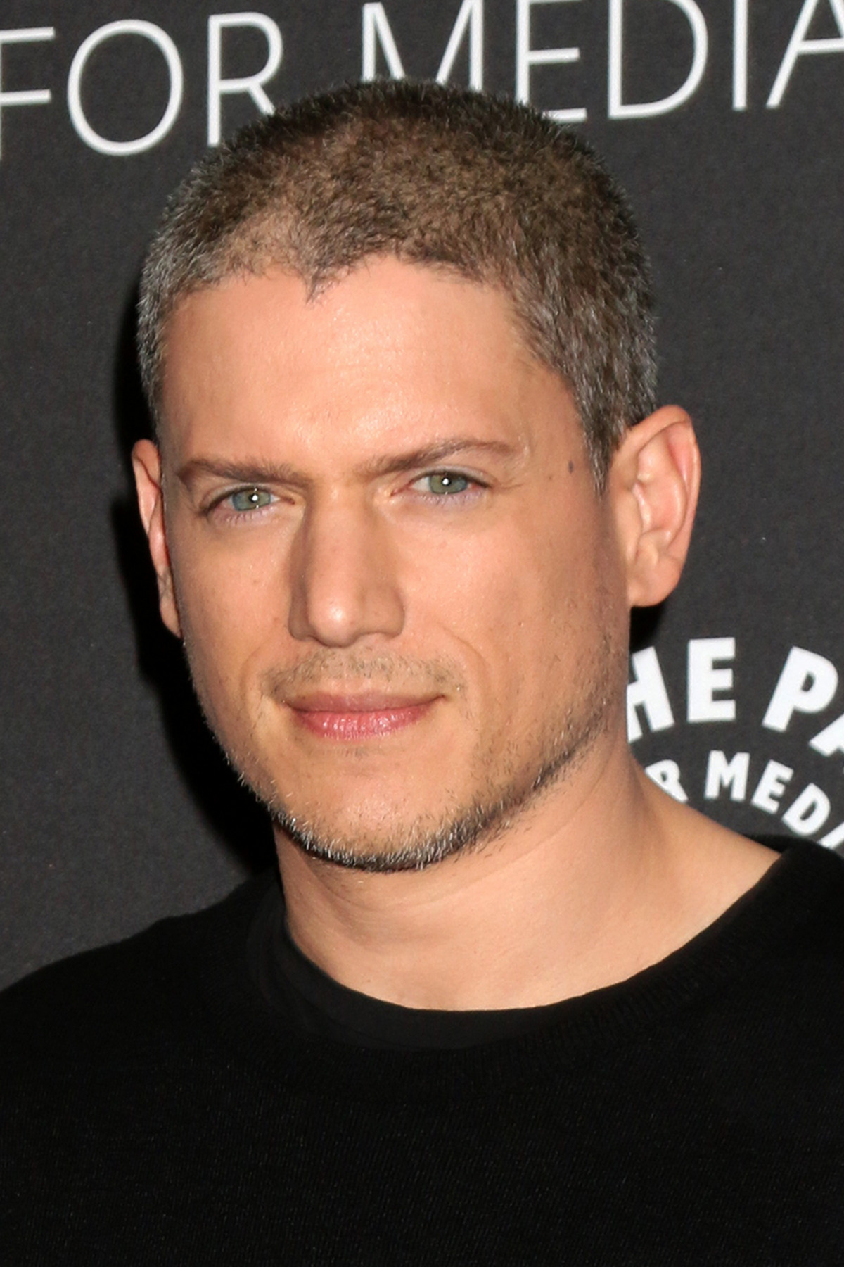 Wentworth Miller