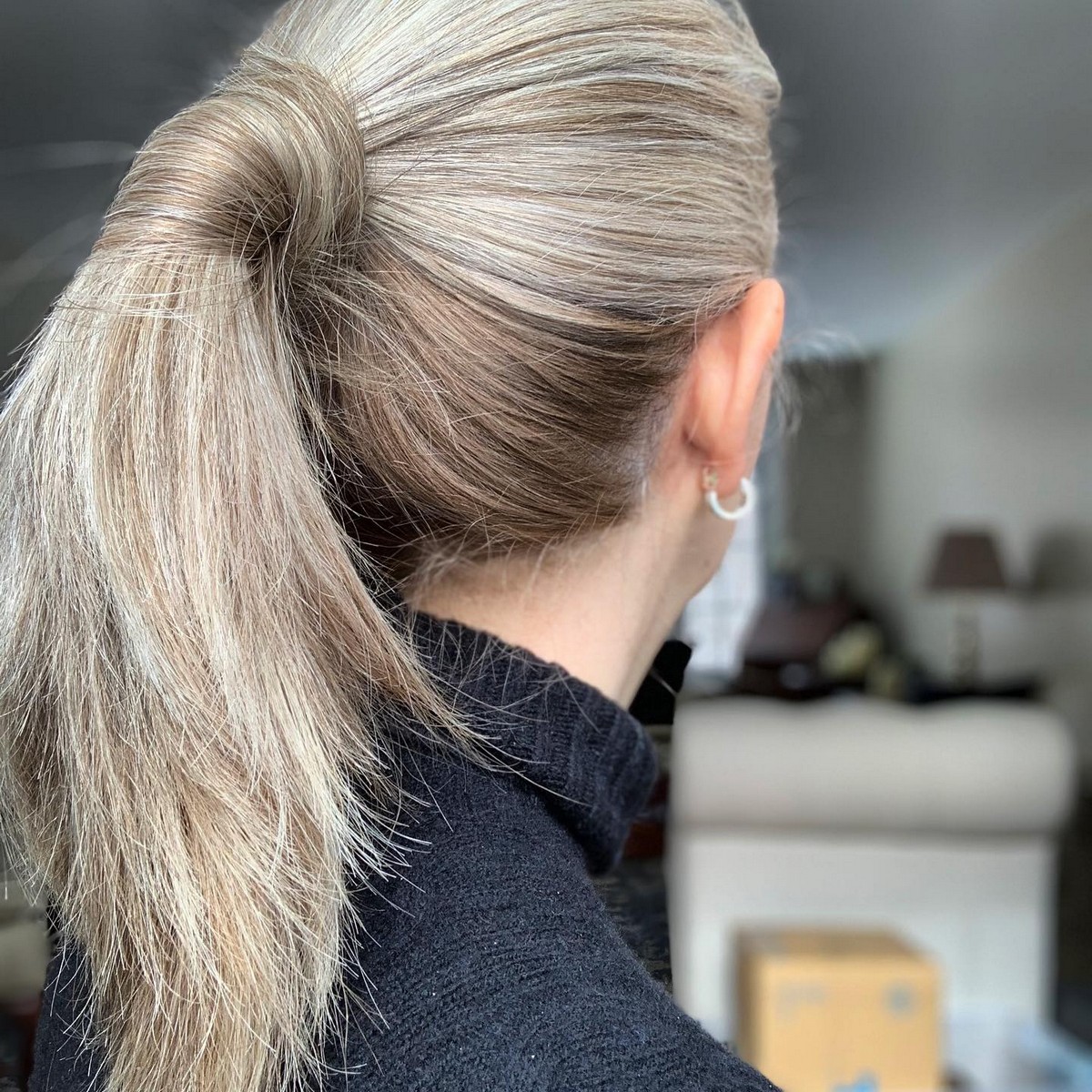 Gray Ponytail