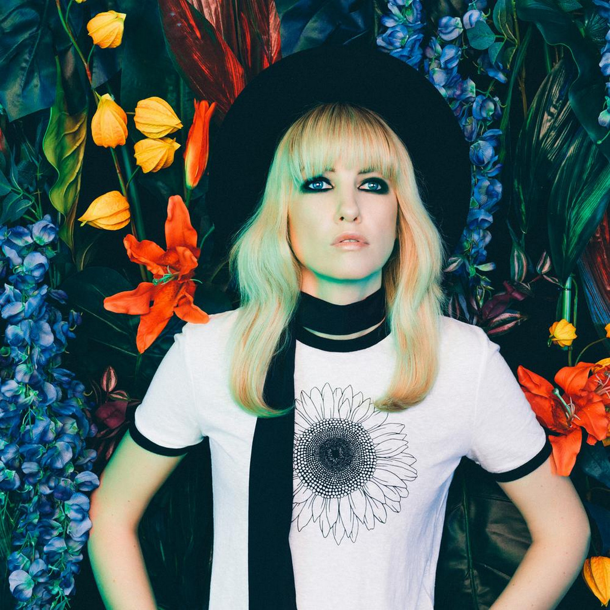 Ladyhawke