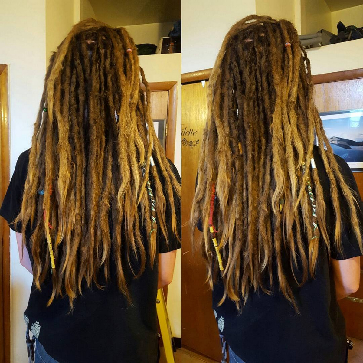 Two-Tone Dreadlocks