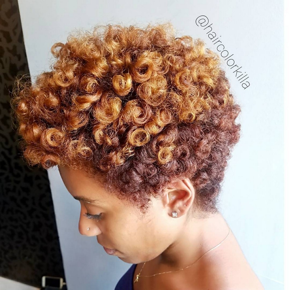 Burgundy and Copper Tapered Natural Hairstyle