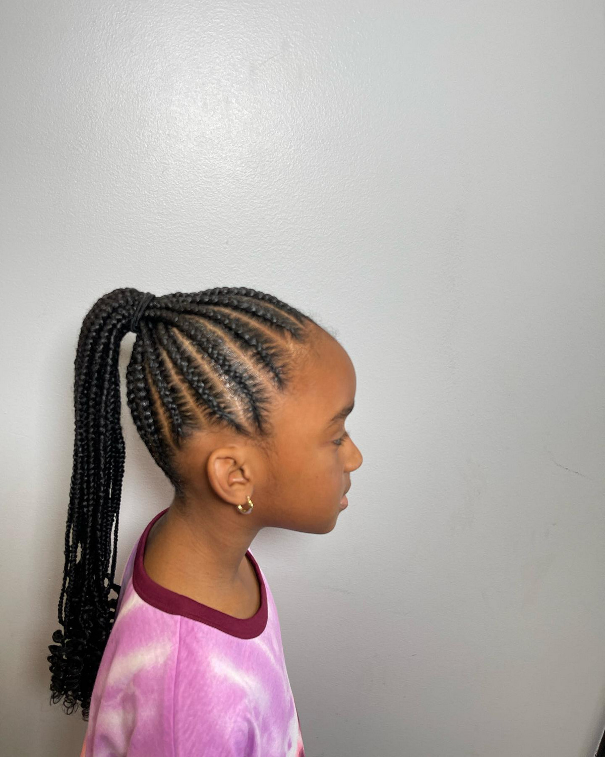 Ponytail With Braids