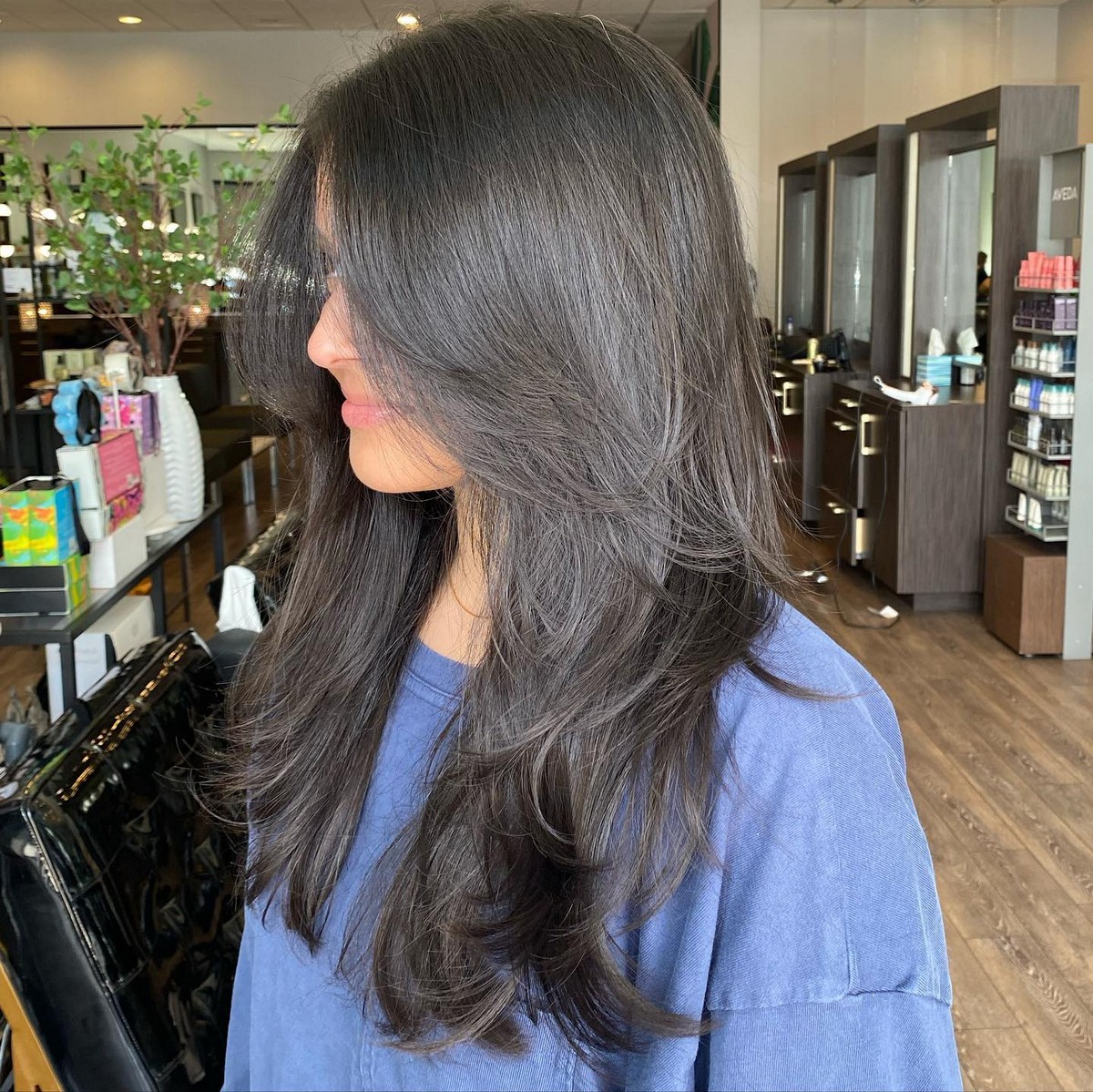 Long Shag With Wispy Layers