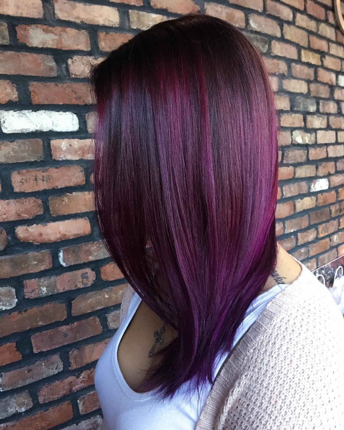 Classic Plum Hair Color