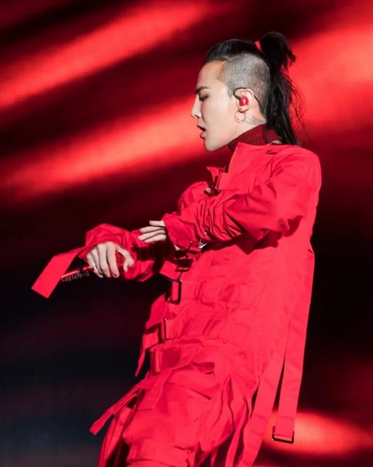 Ponytail