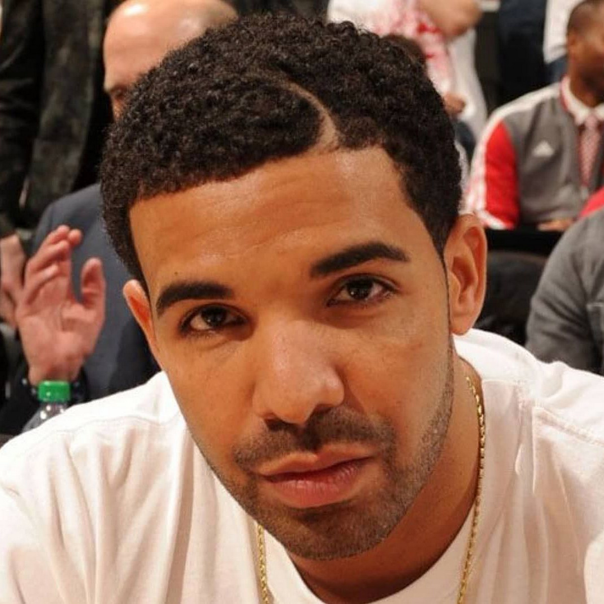 The Drake Haircut