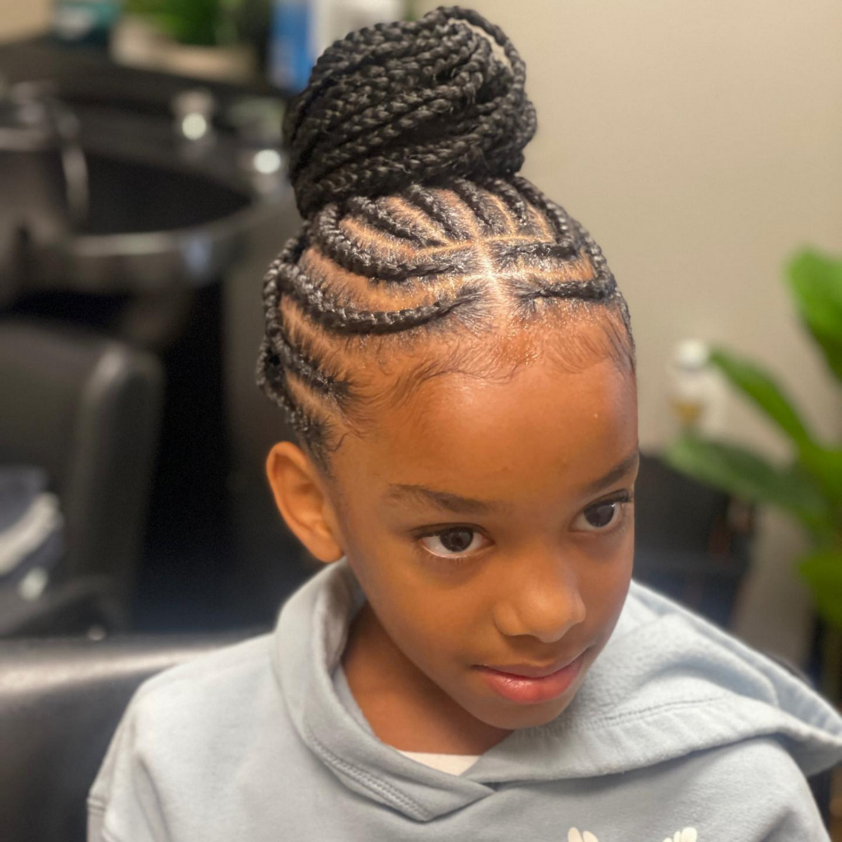 Braids Bun