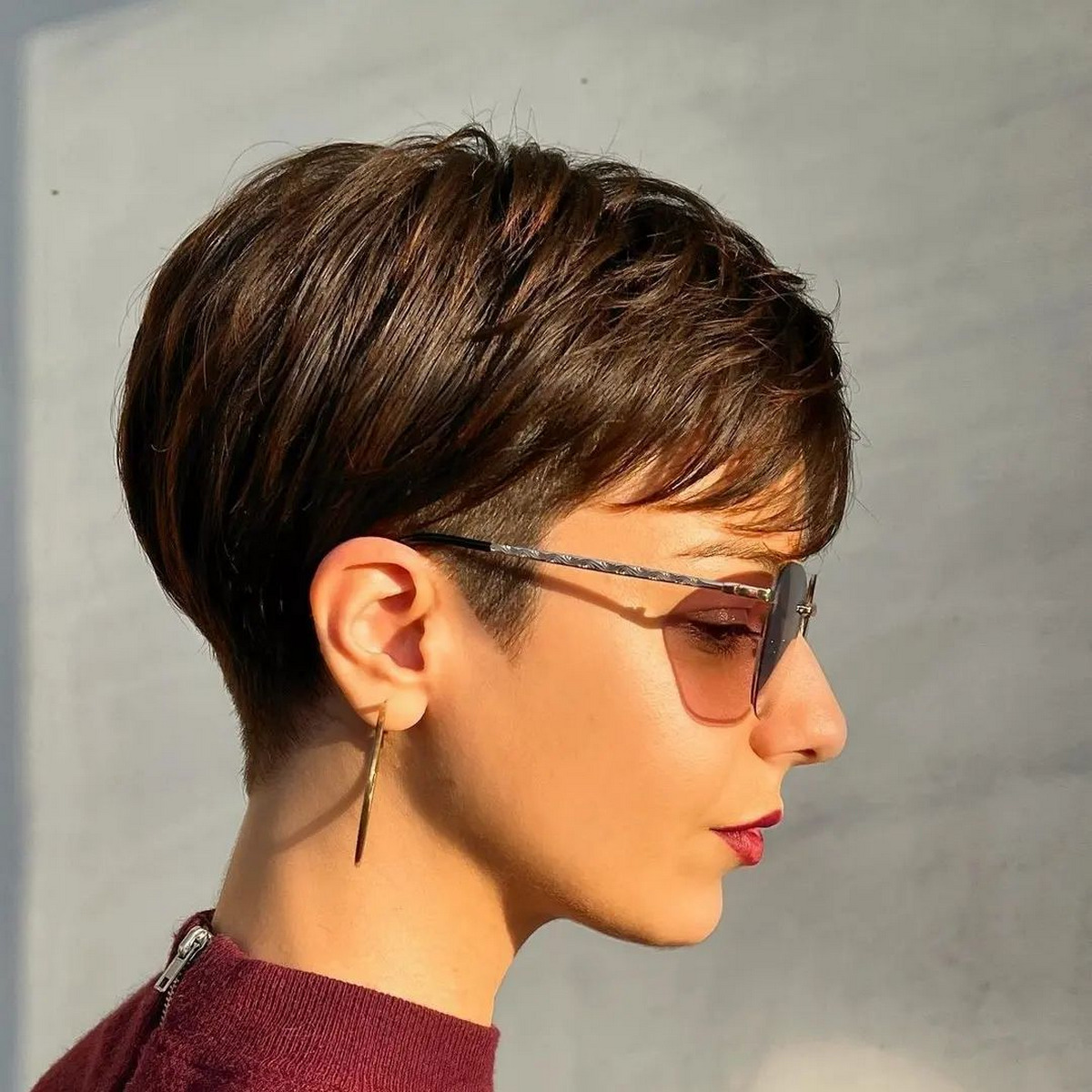 Pixie Bob With Shaved Side
