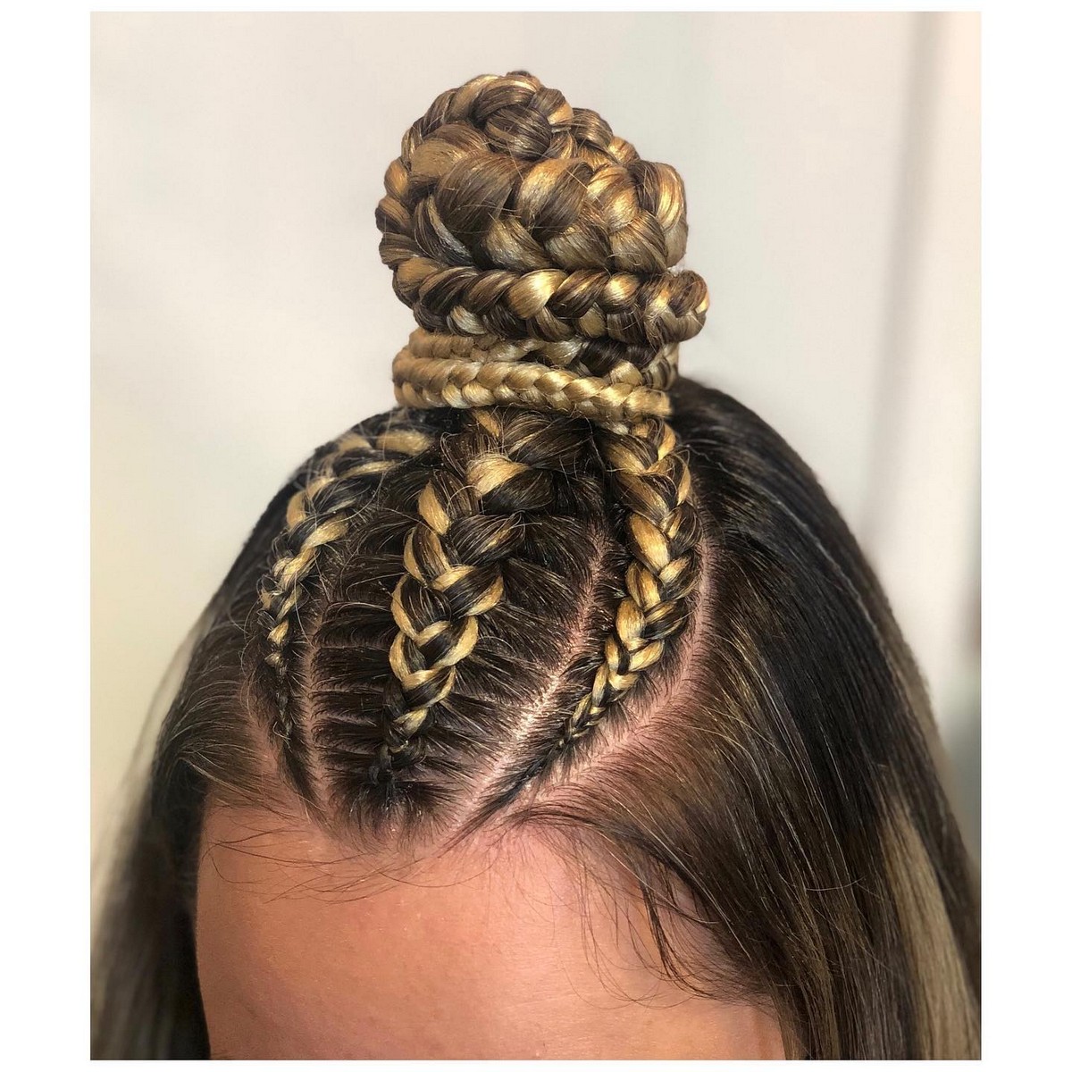 Braided Top Knot 