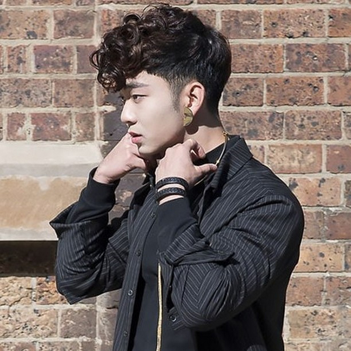 Curly Pompadour