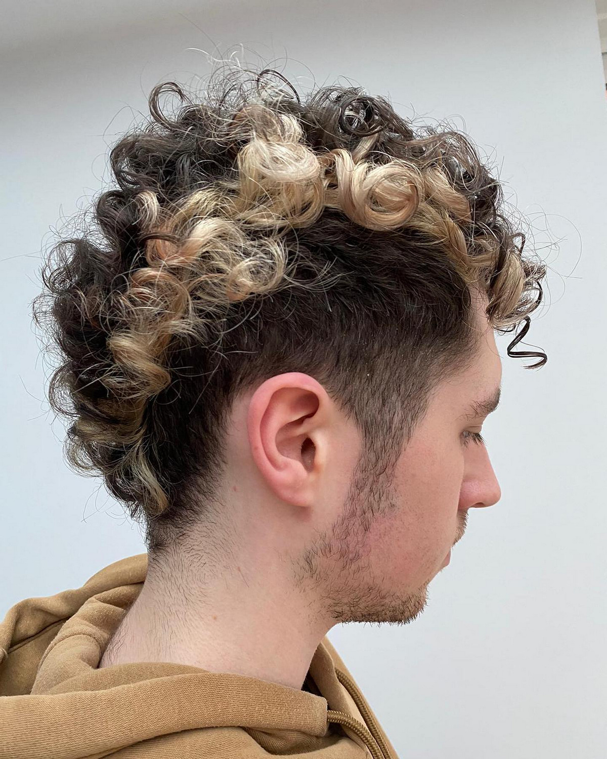 Undercut Curly Mullet With Highlights