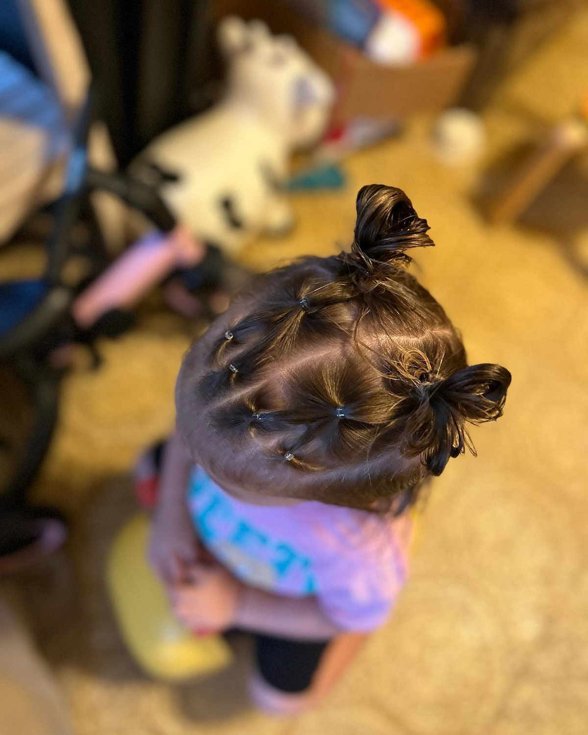 Double Fan Buns