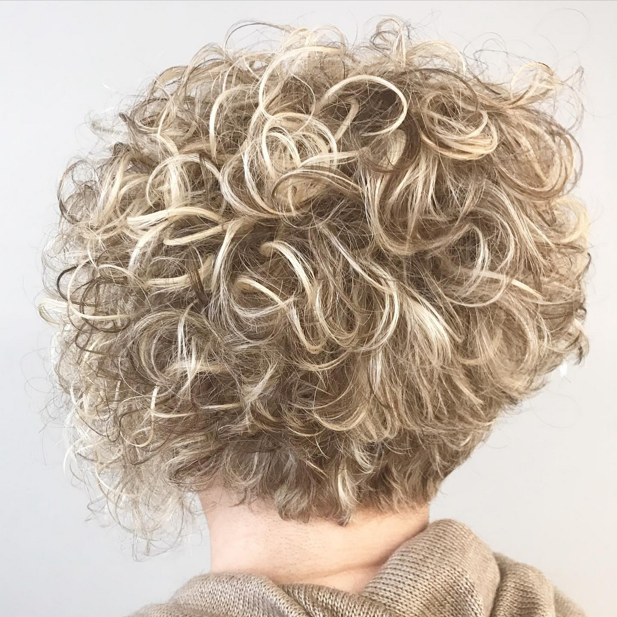 Curly Perm Pixie Bob