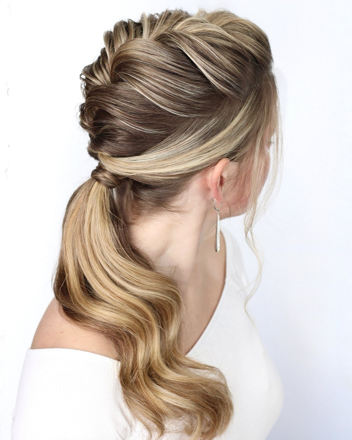 Elegant Braid And Low Ponytail