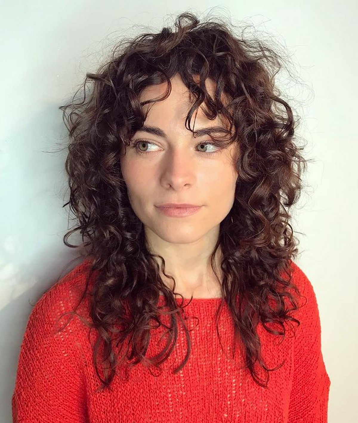 Messy Curly Brunette Shag