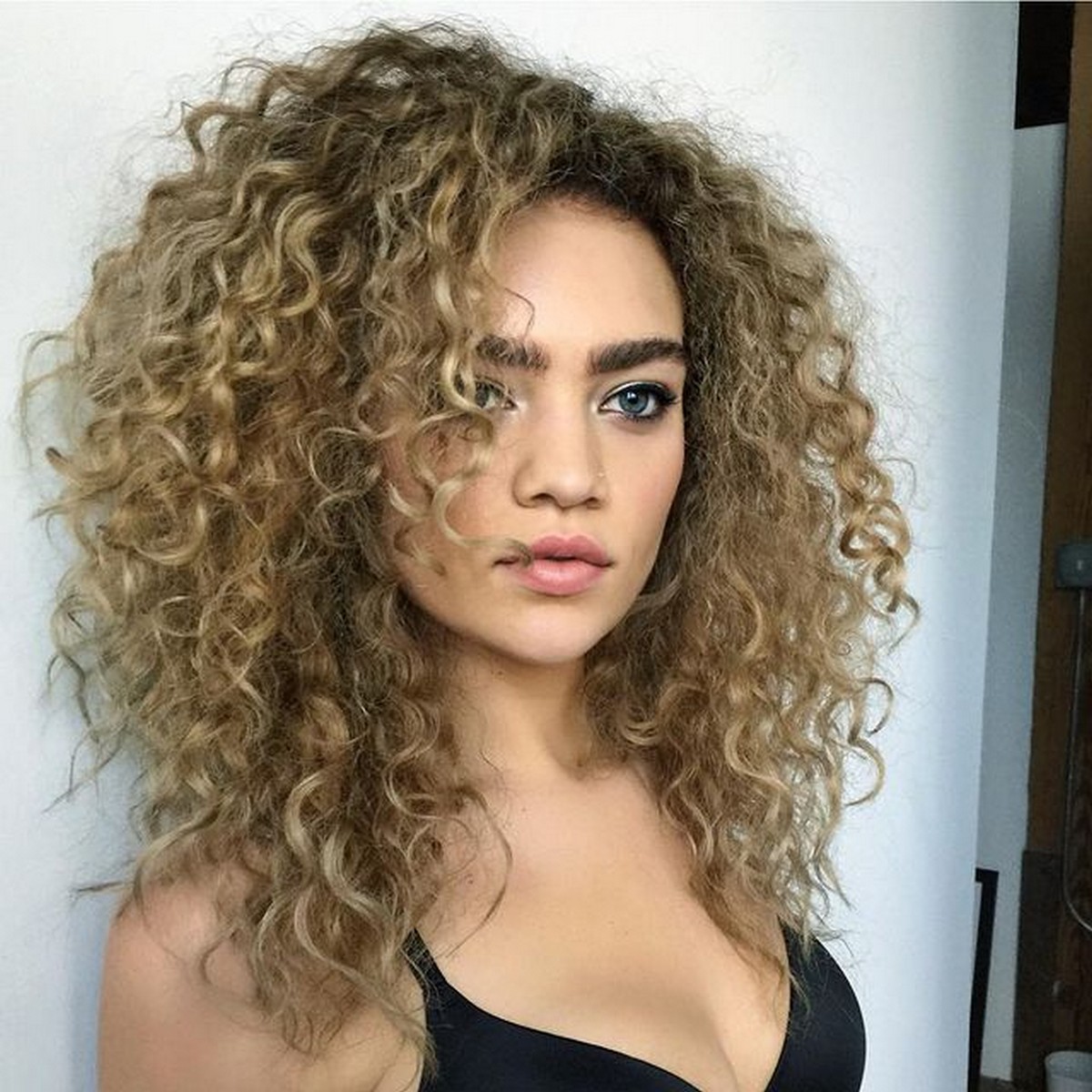 Beautiful Layered Lioness