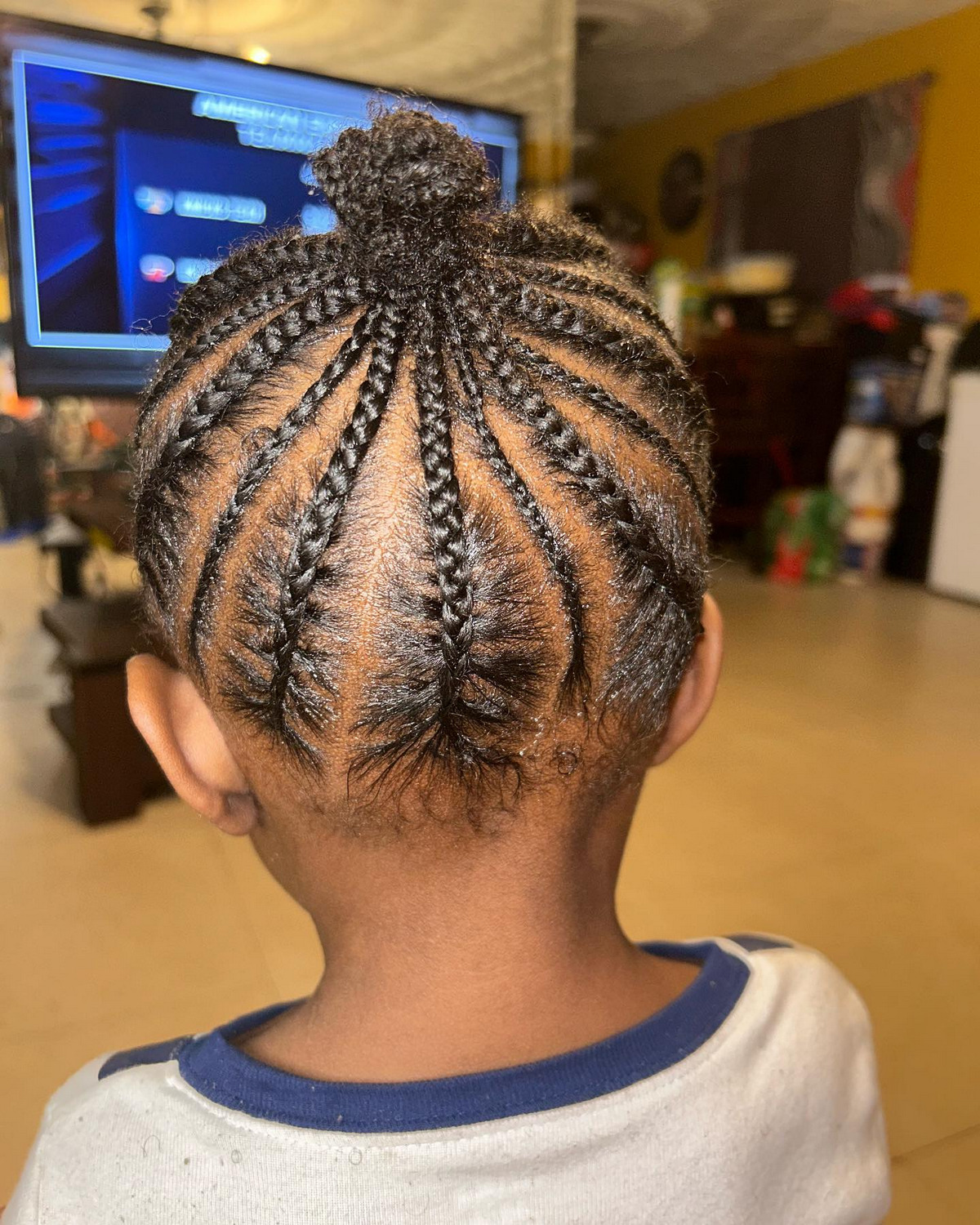 Braids Bun