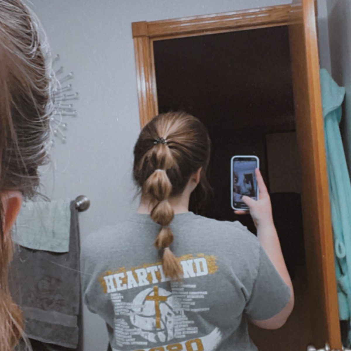Long Bubble Braids