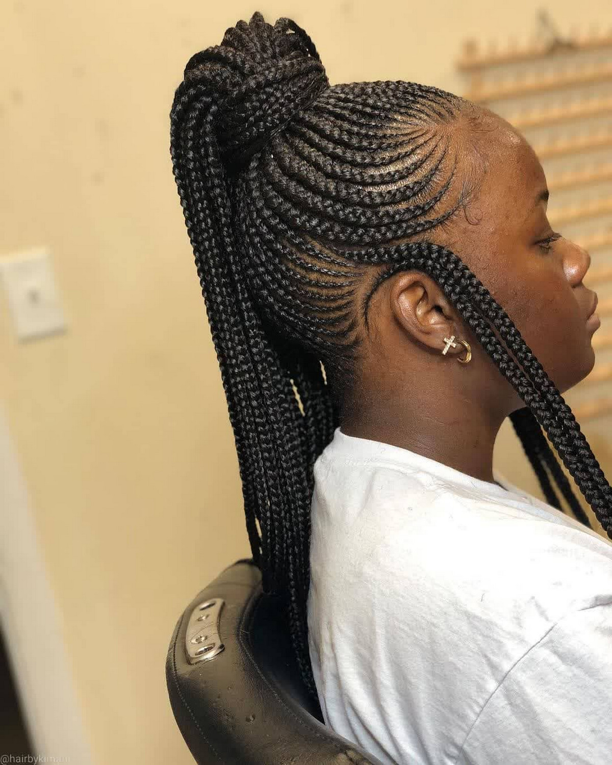 Braids In a High Ponytail