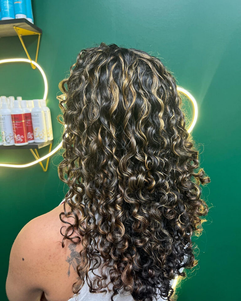 42 Beautiful Curly Hair With Highlights in 2023 Hood MWR