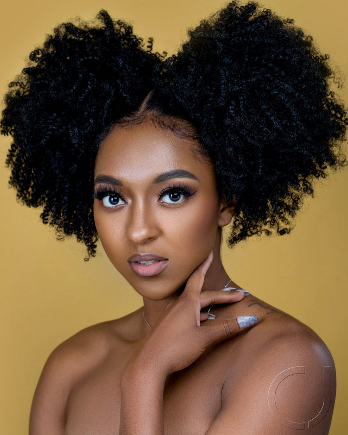 Afro With Afro Puffs