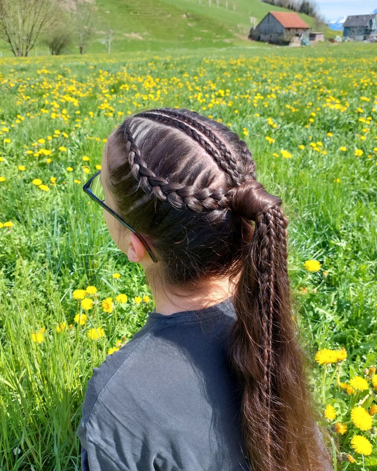 Crown And Ponytail For Long Brown Hair