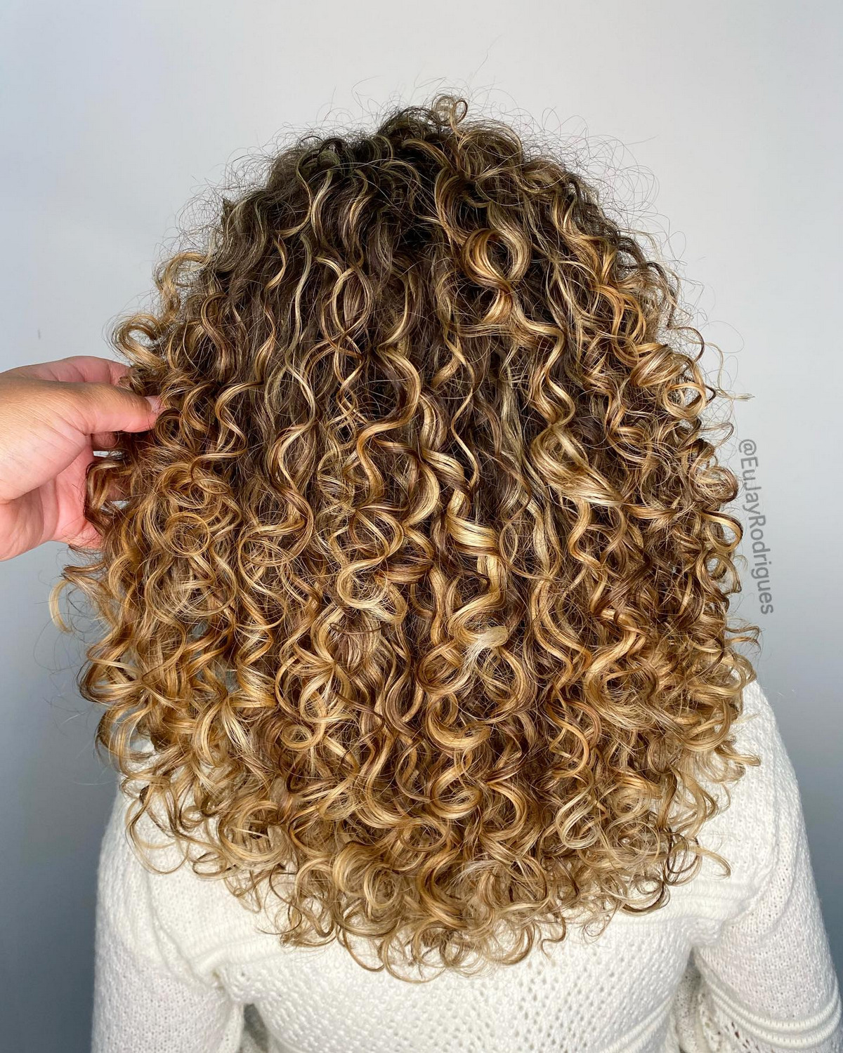 Natural Long Curls With Highlights