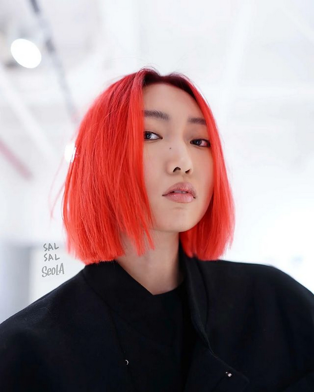 Revolutionary Red