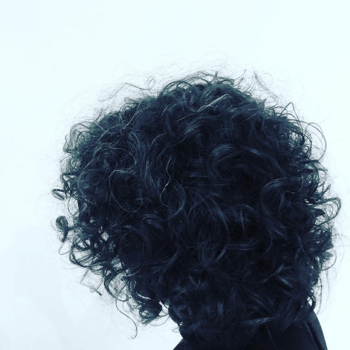 Black Layer Of Curly Medium Bob Hair