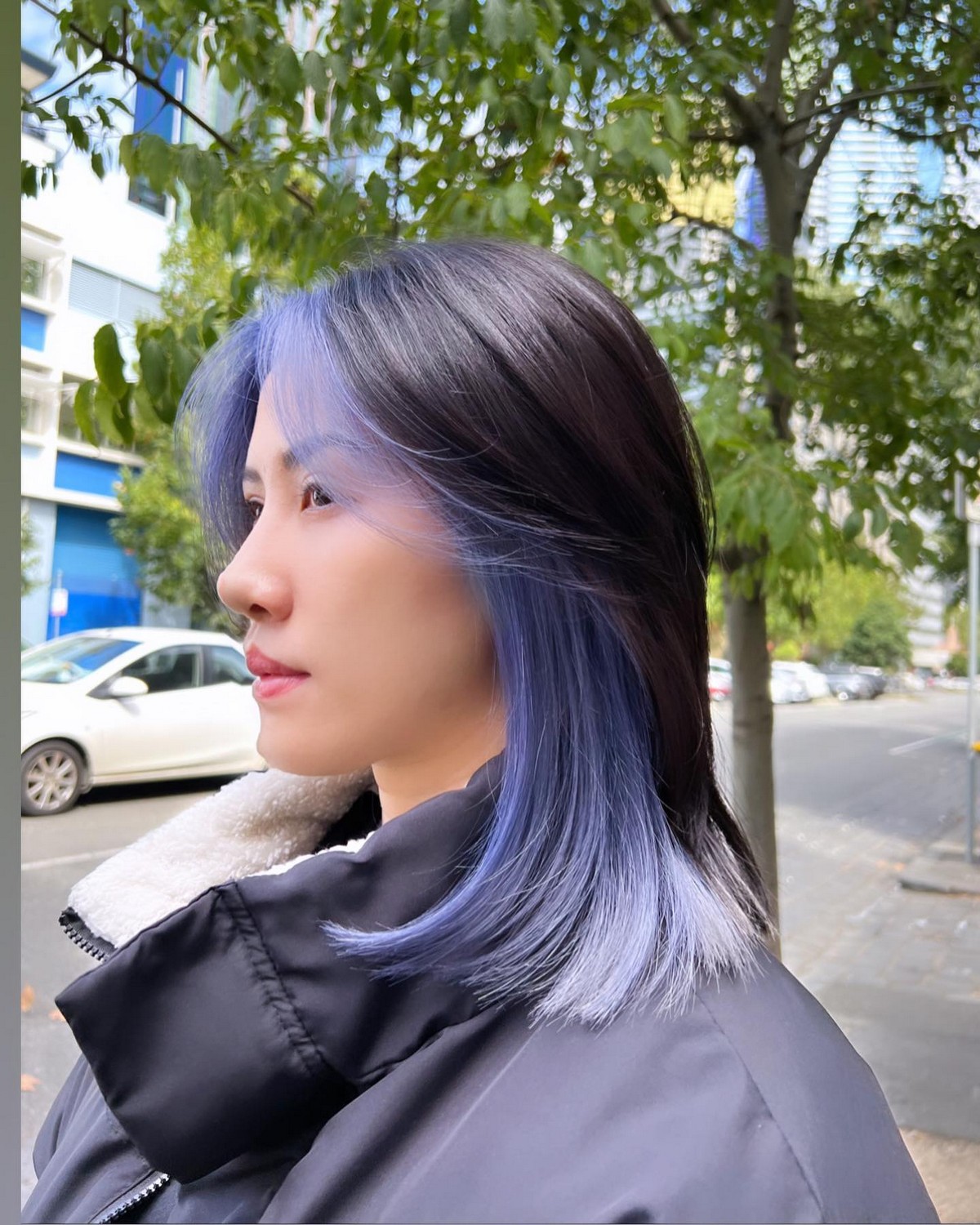 Blue Ash Medium Thick Bob With Feather Bangs