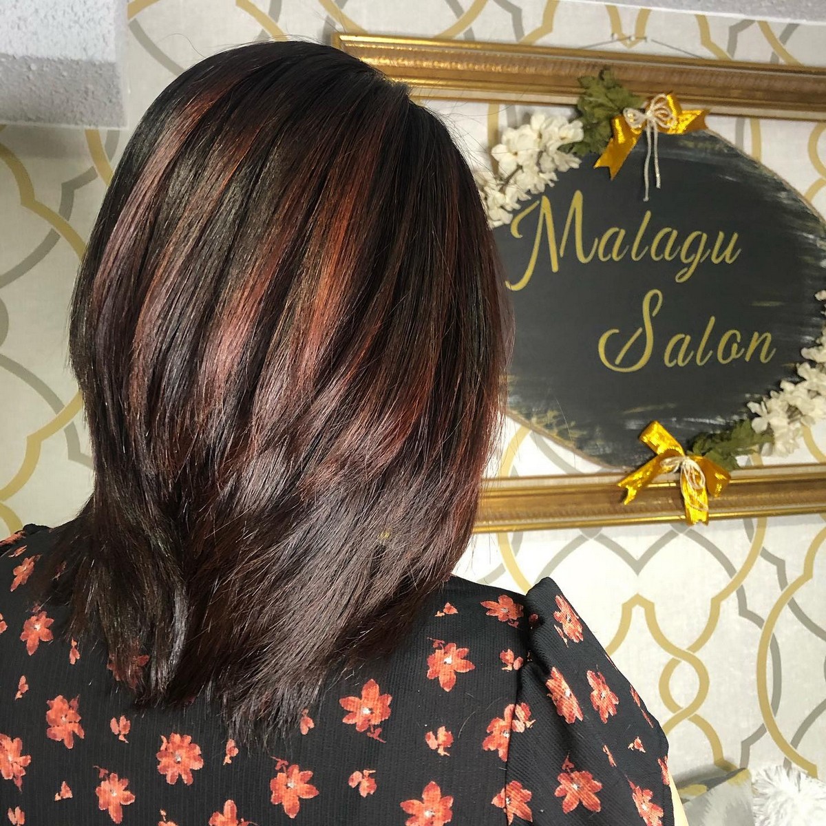 Dark Brown Hair With Mahogany Highlights