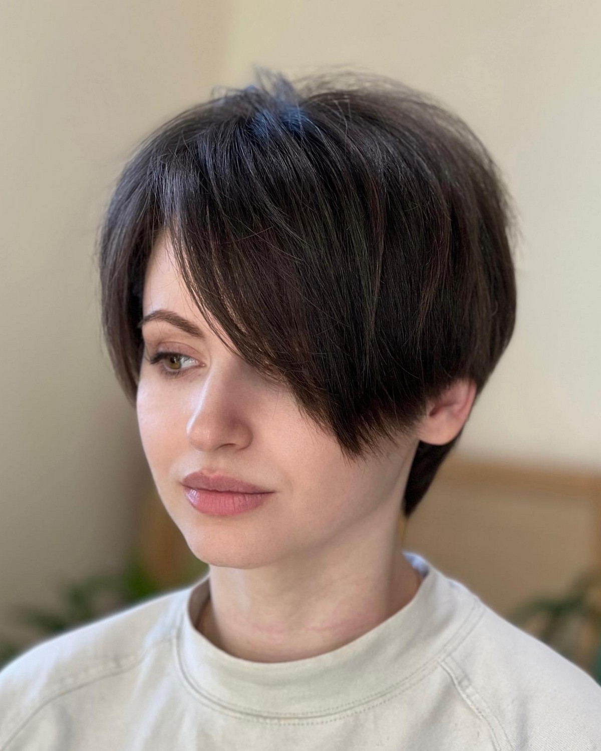 Pixie Bob