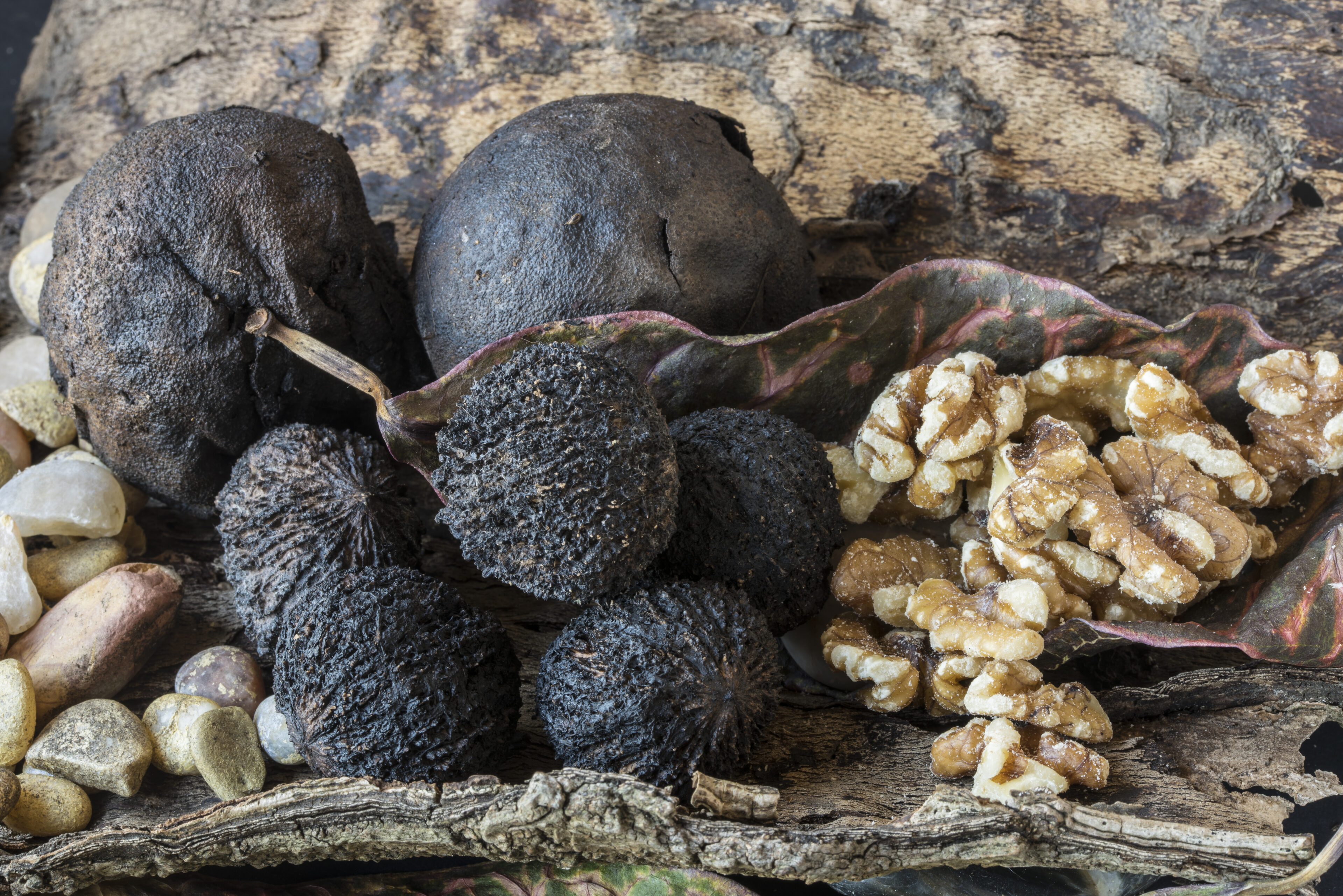 Black Walnuts
