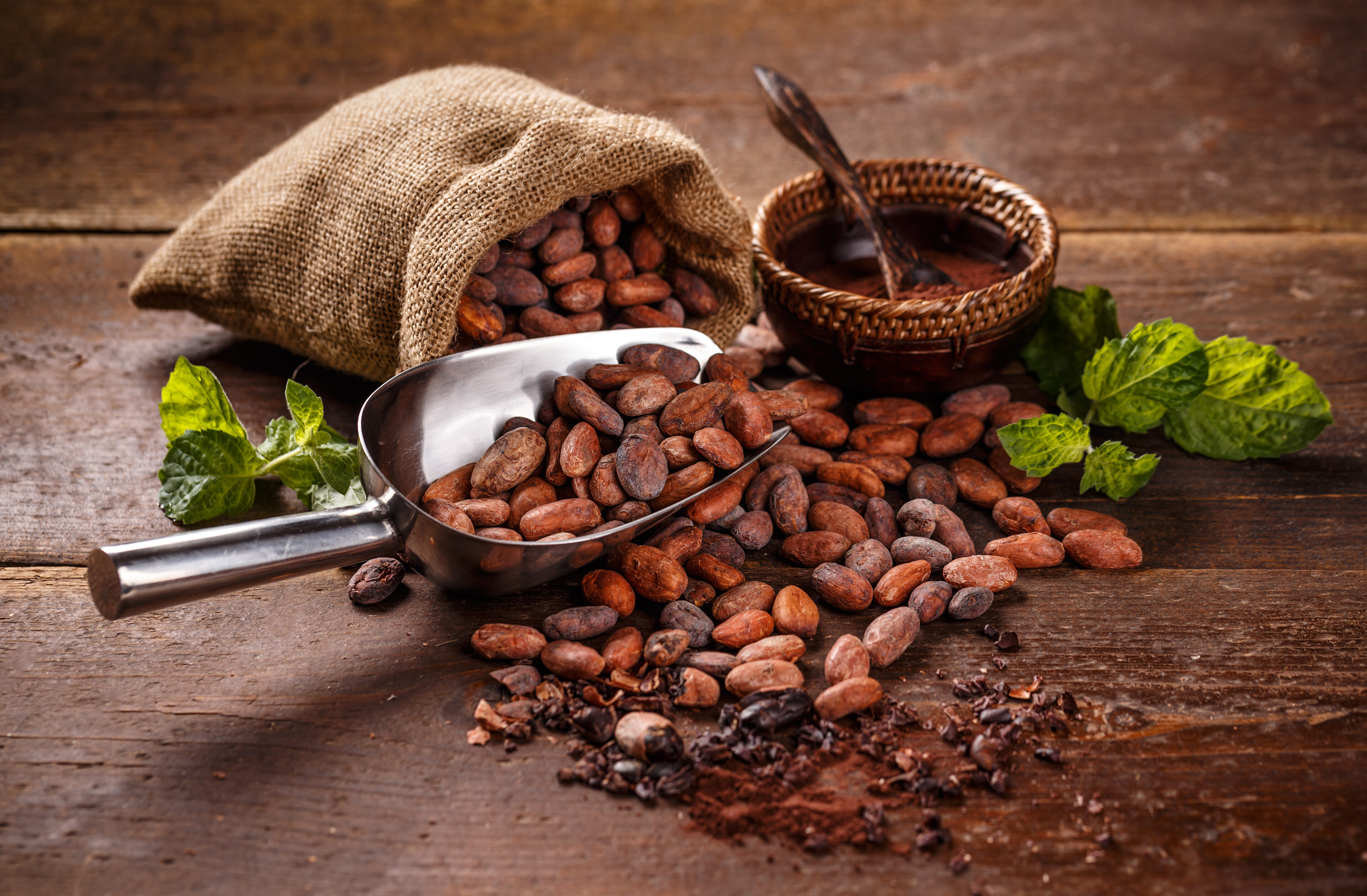 Cocoa