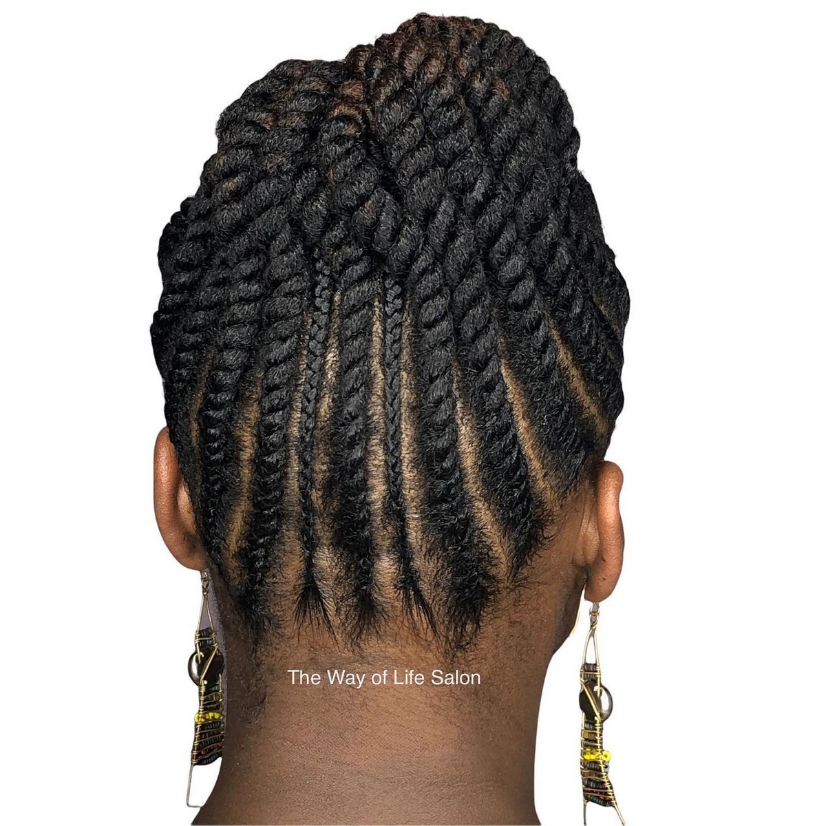 Black Updo Braids and Twists