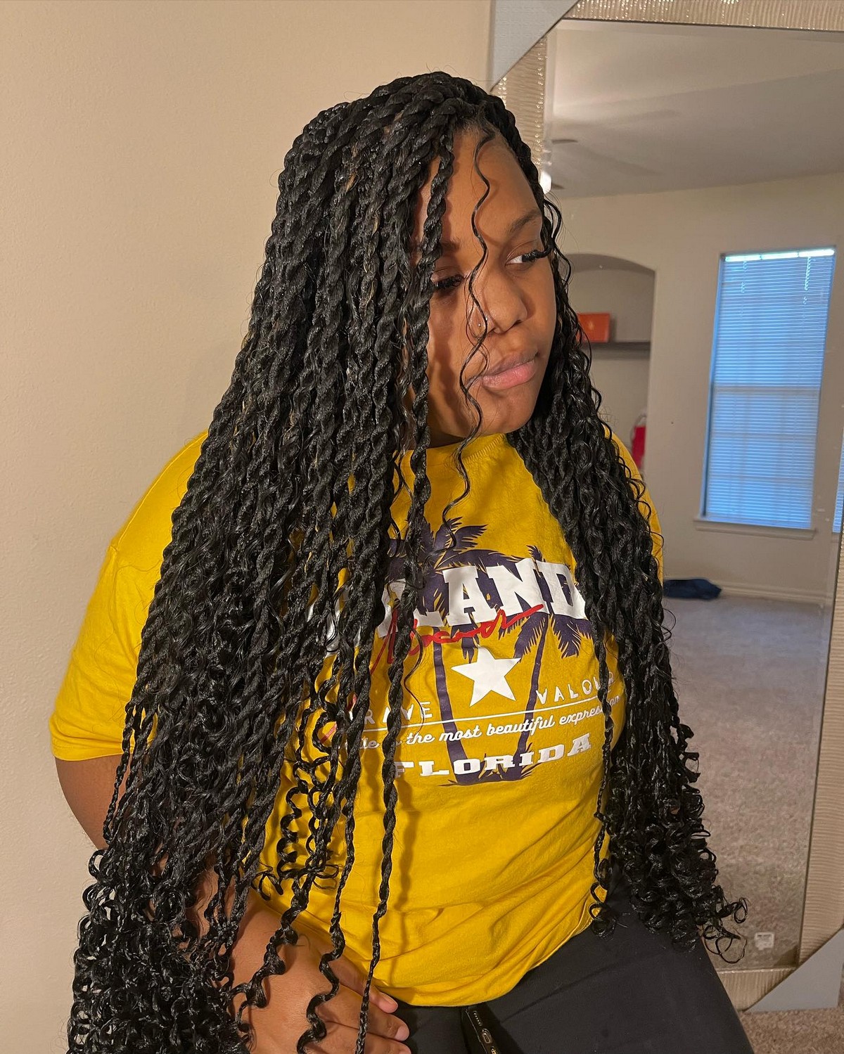 Knotless Passion Braids