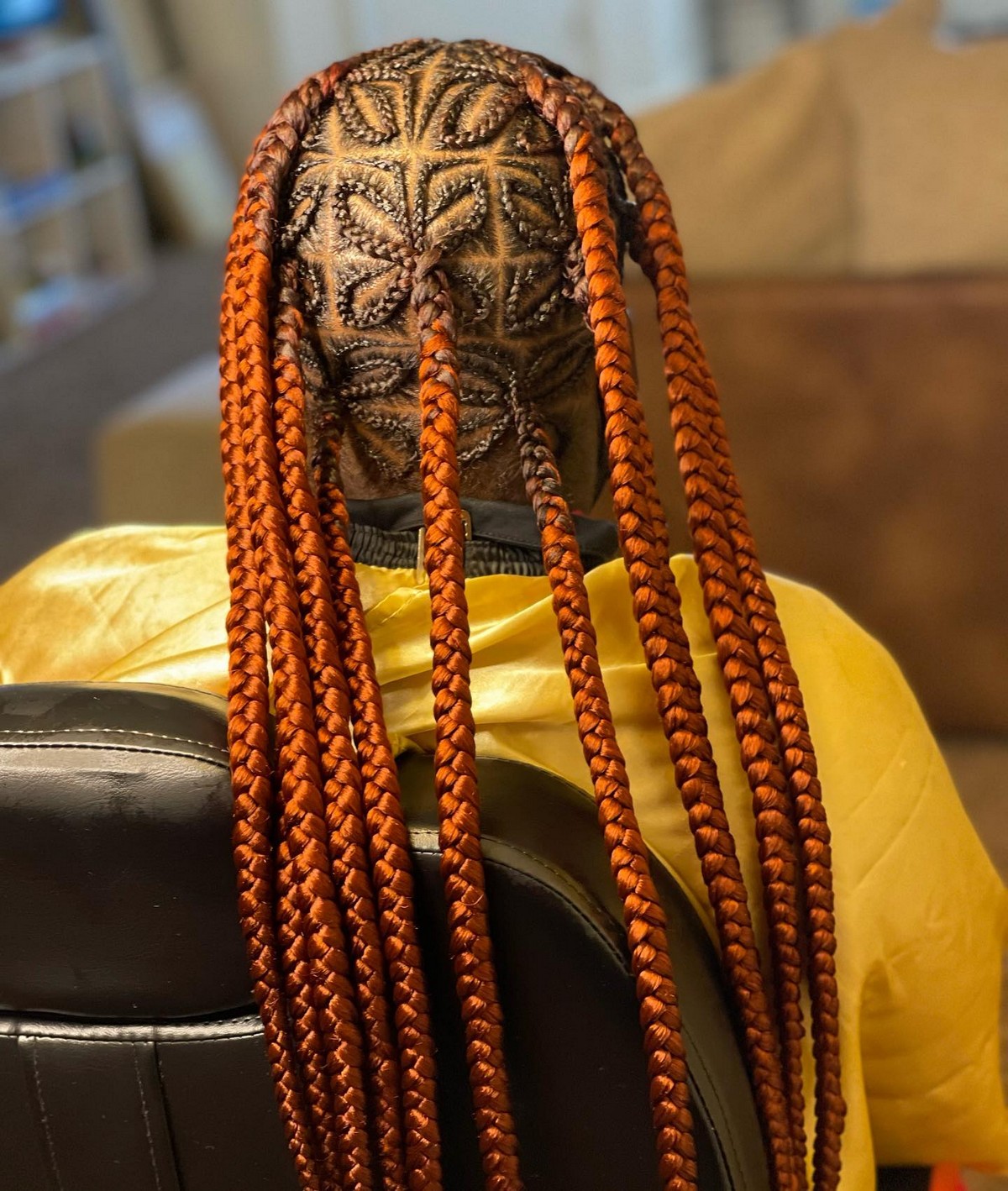 Butterfly Braids