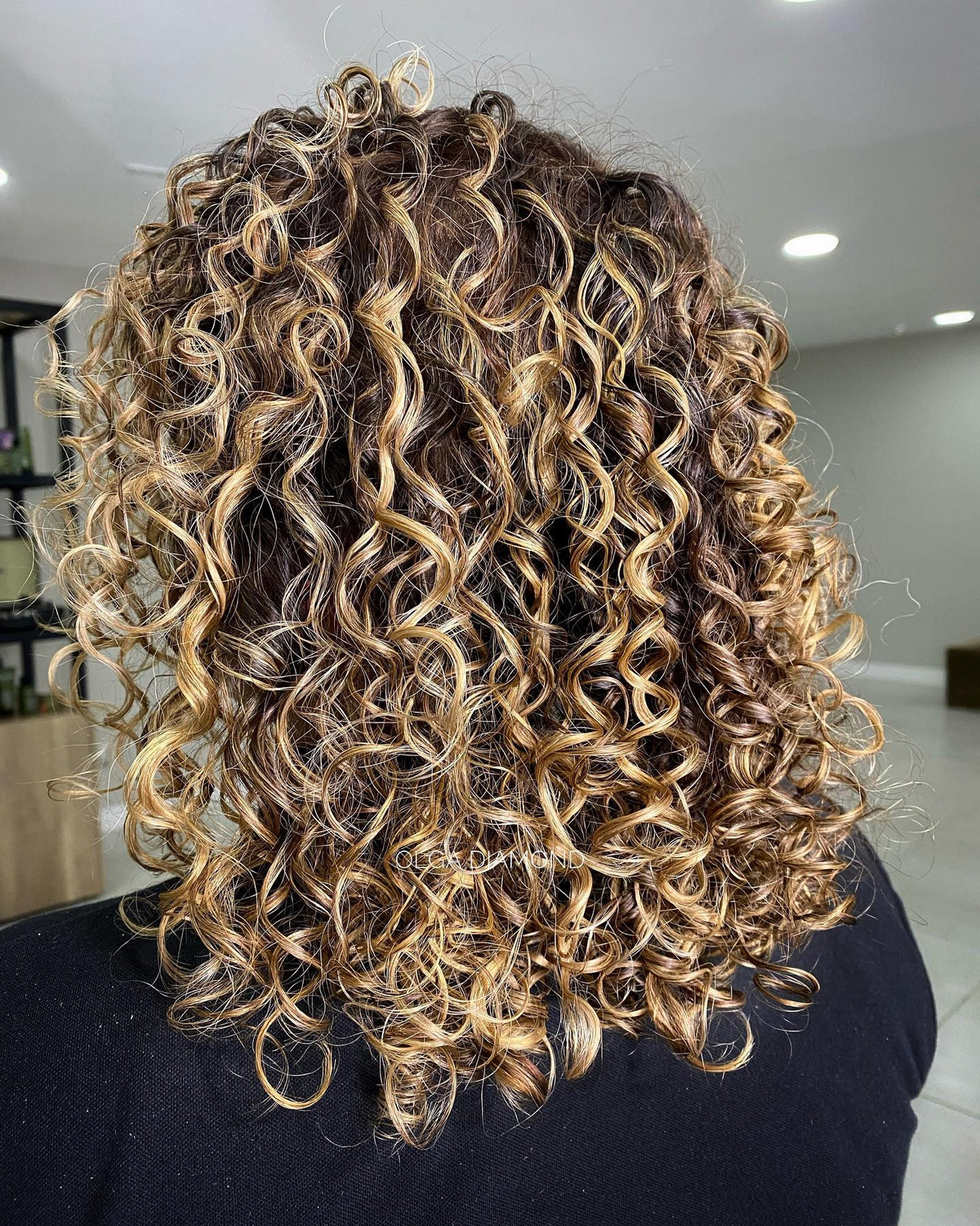 Natural Curls With Blonde Highlights