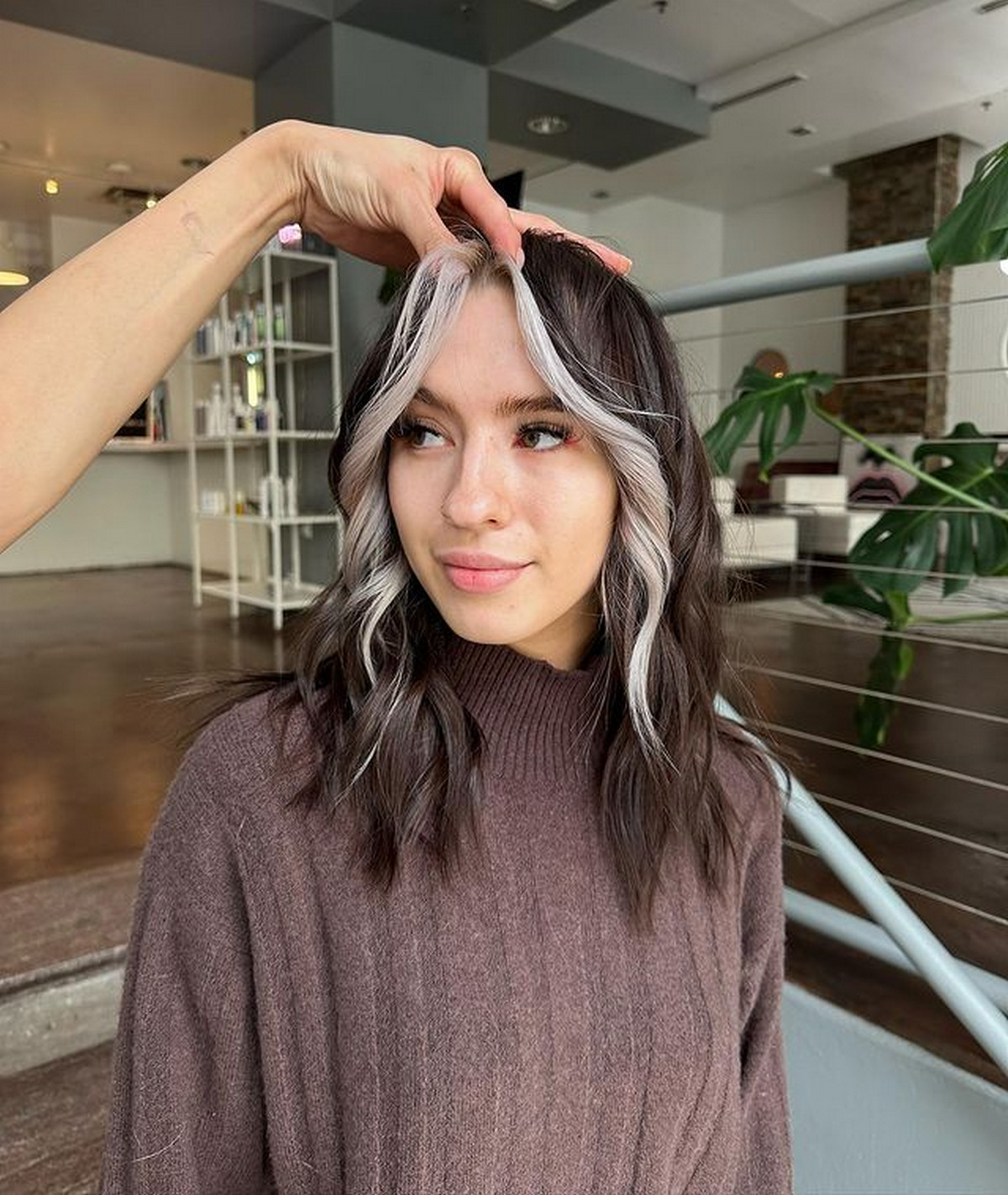 Medium-Length Brown Hair With A White Money Piece