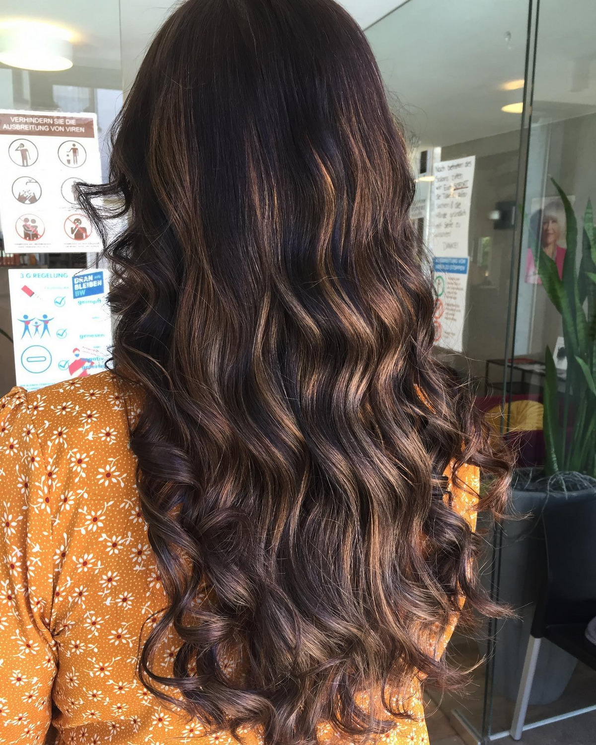 Dark Brown With Bronze Balayage