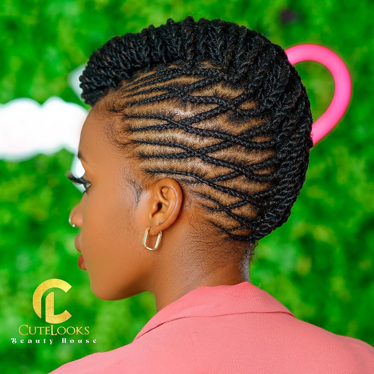 Braided Mohawk Updo