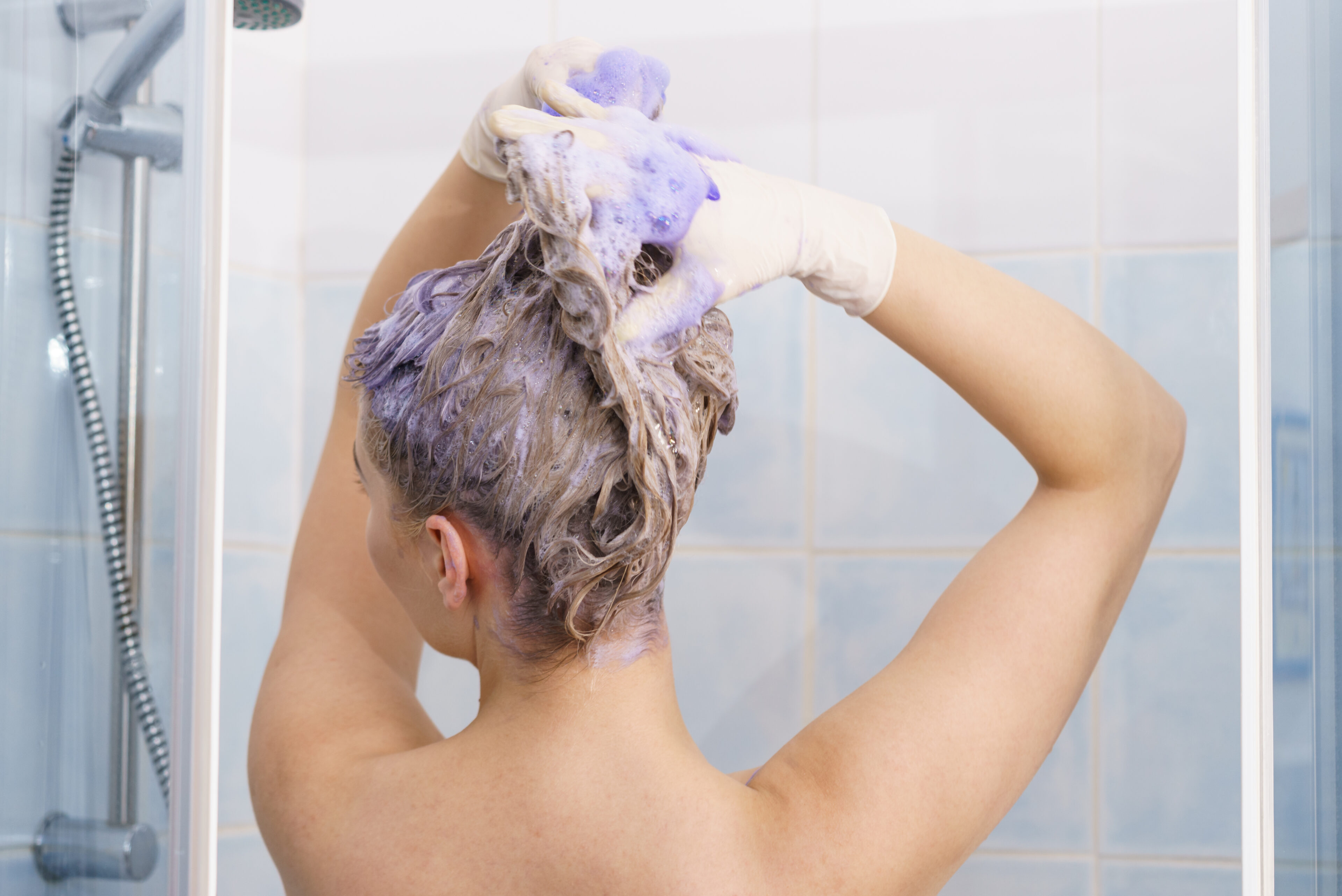 Apply the shampoo