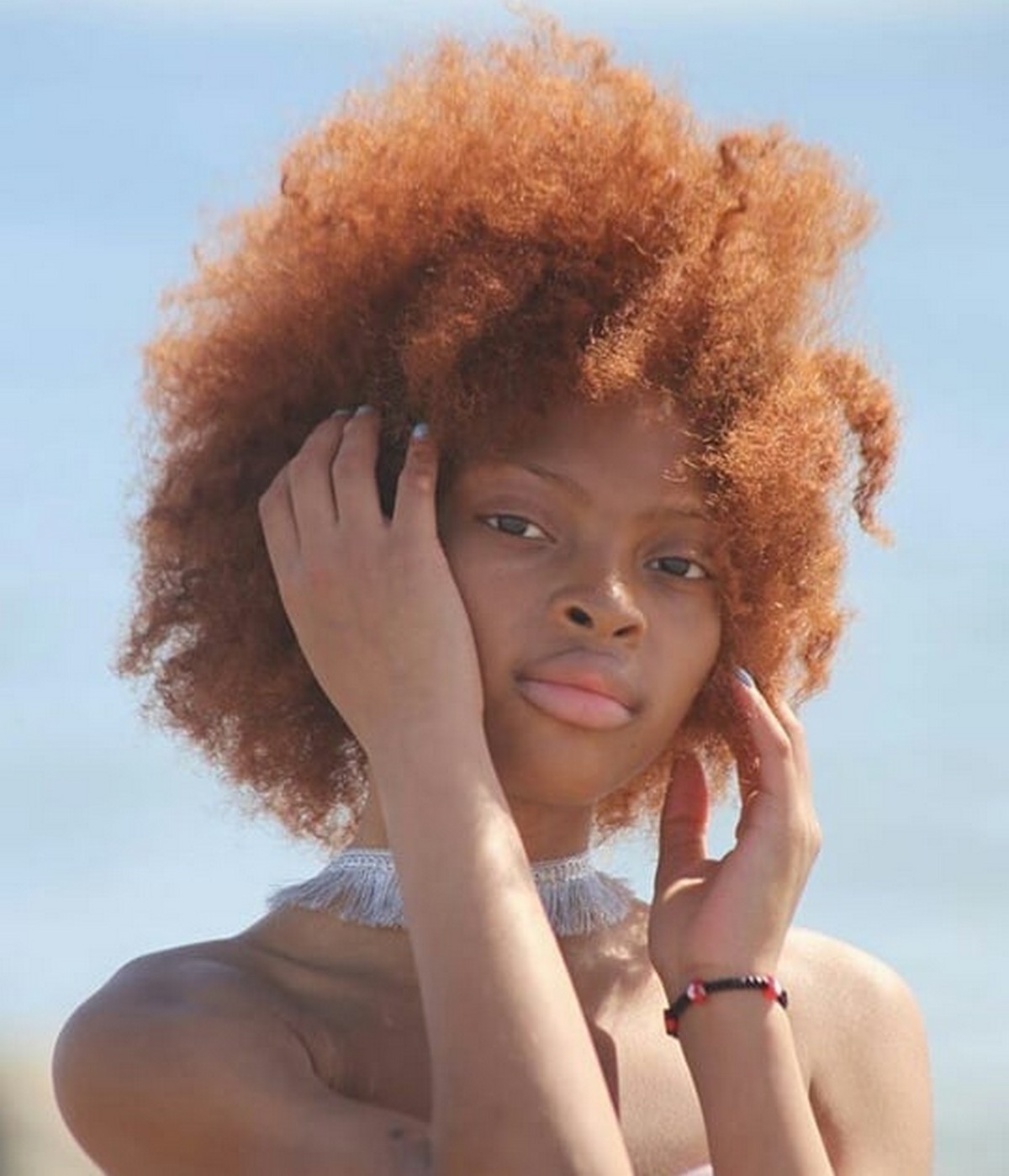 Black Redhead And Sun