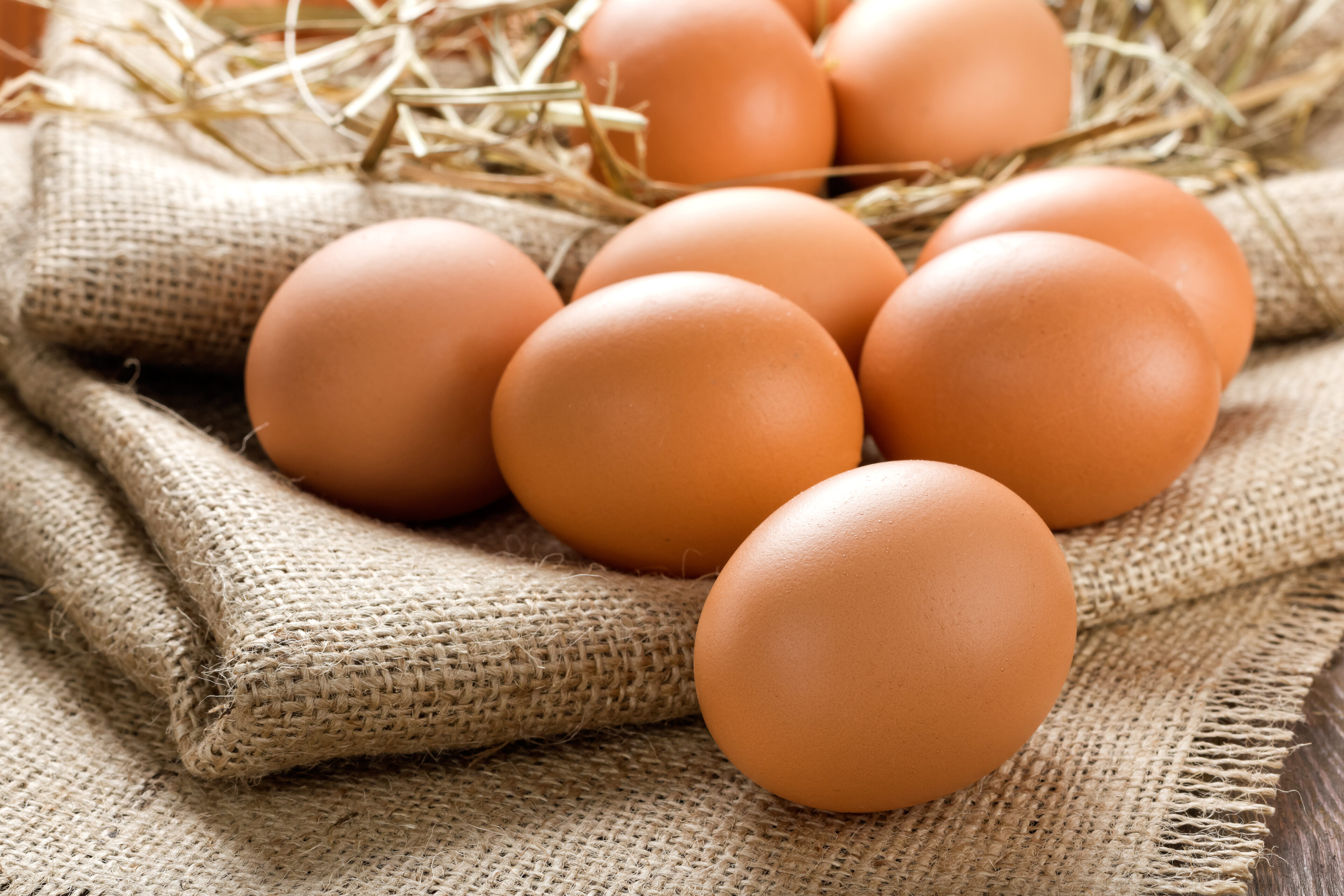 Eggs: The breakfast powerhouse