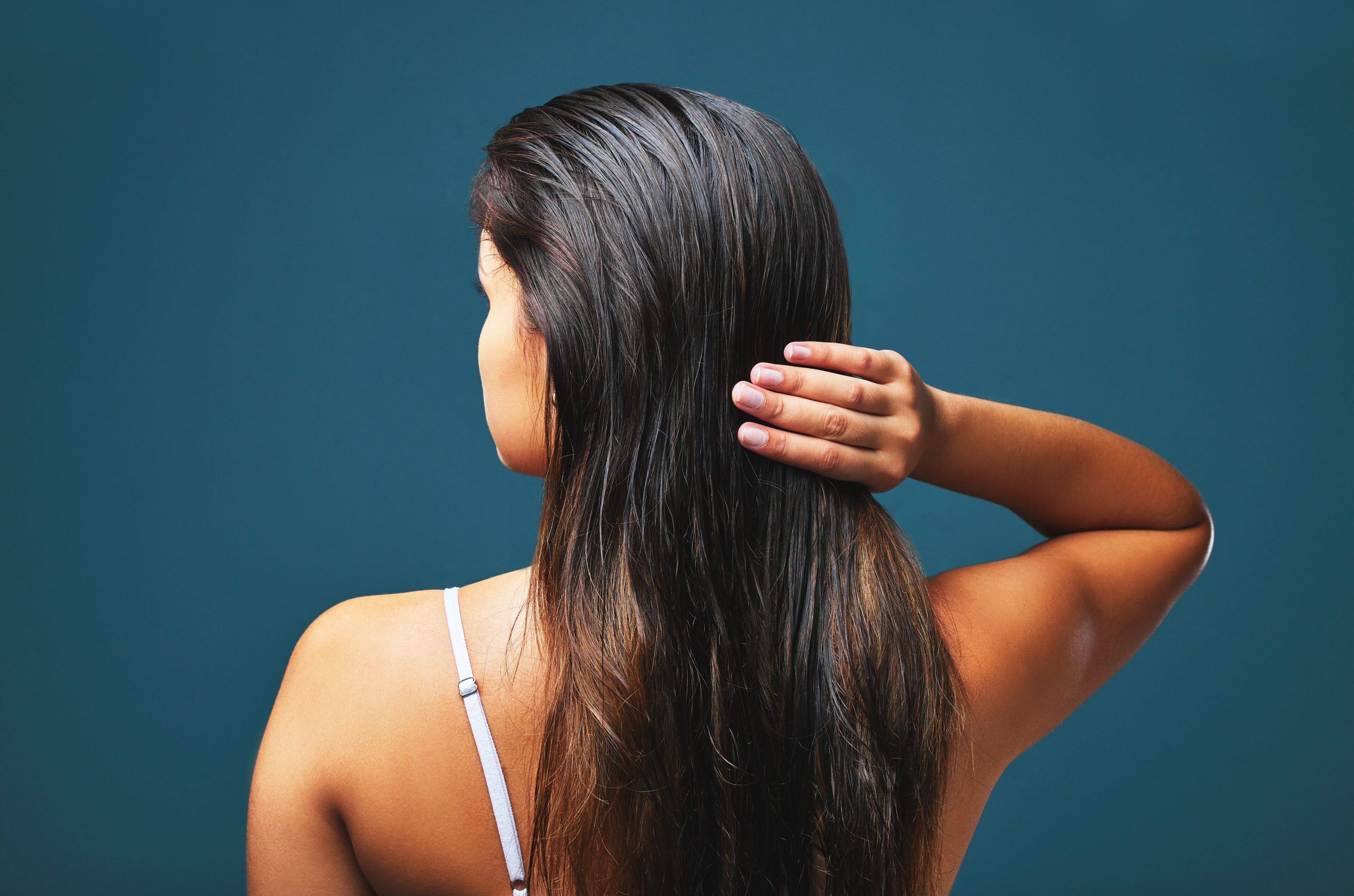 Medical illustration of skin and hair, normal and greasy or with excessive sebum secretion