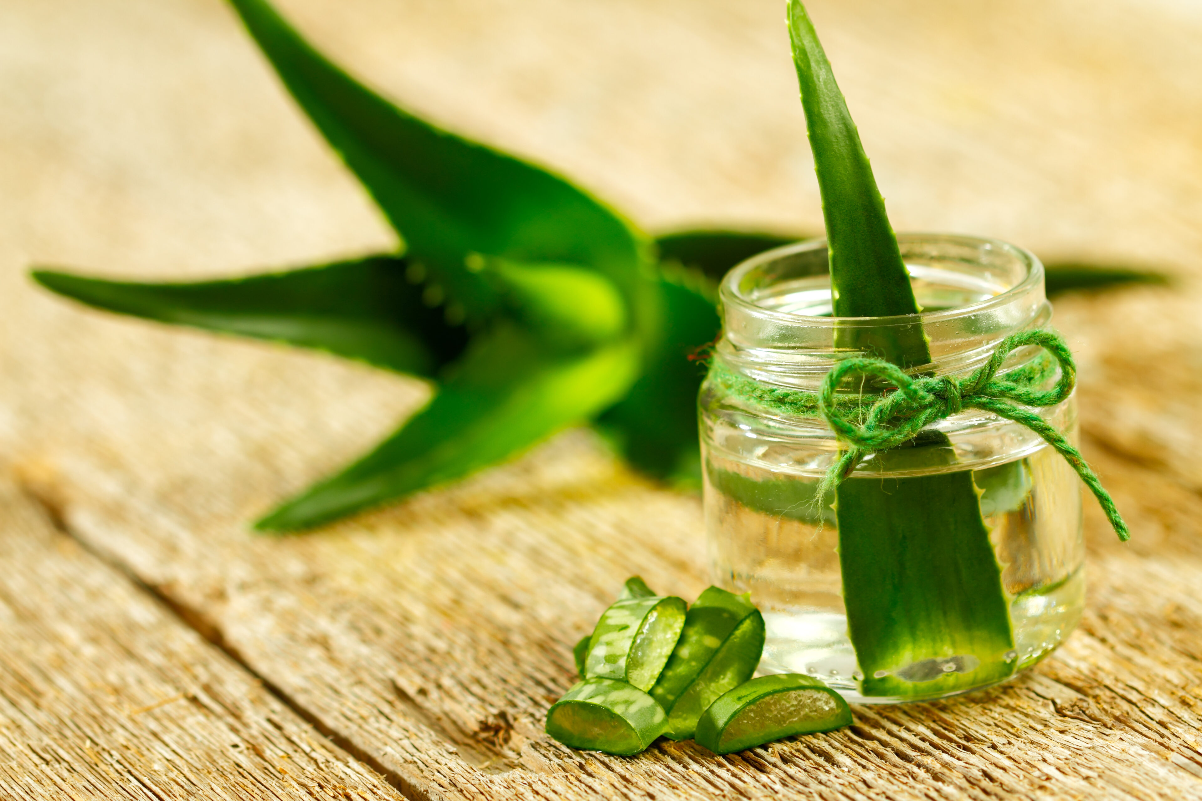 Extract Aloe Vera gel