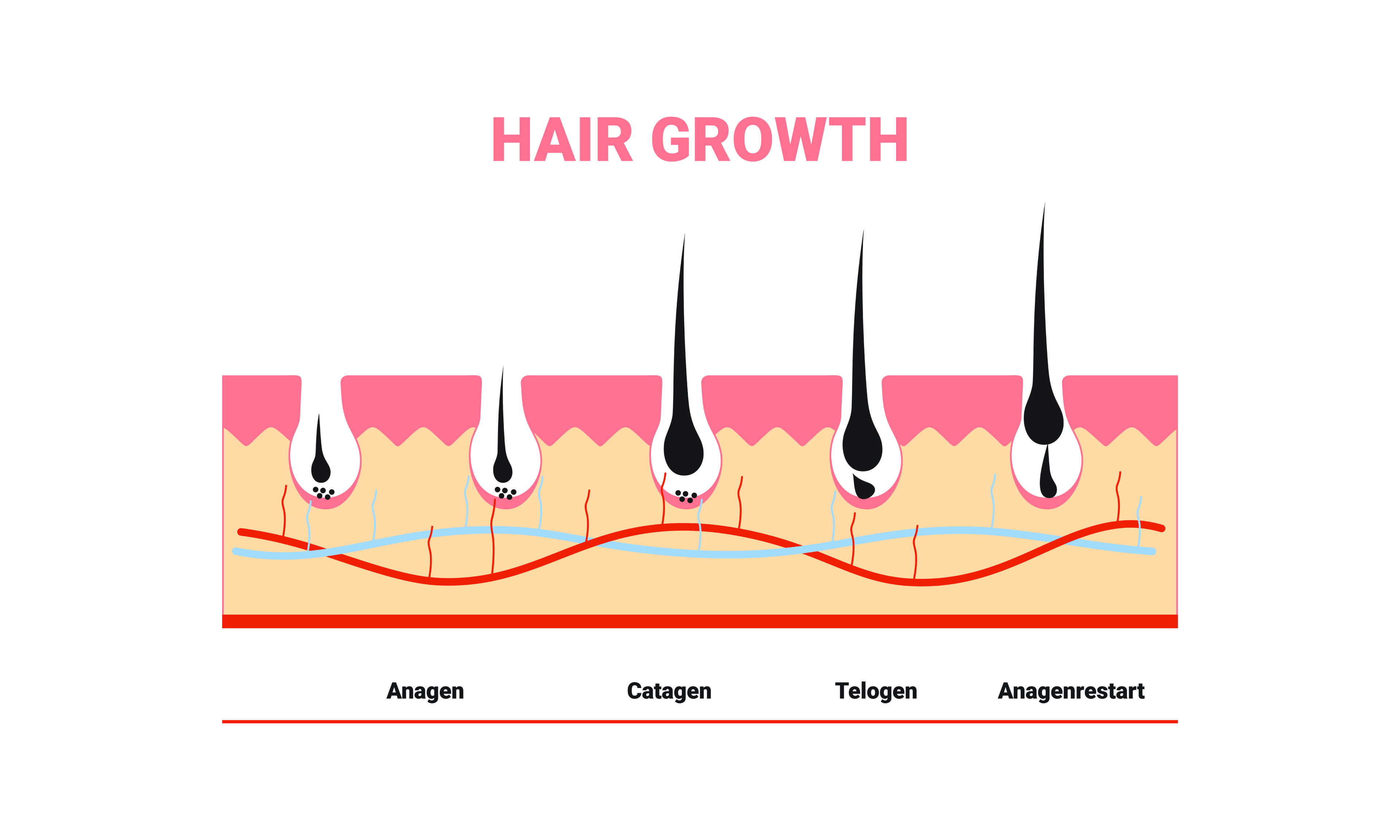 Does Your Scalp Itch When Your Hair Is Growing? Hood MWR