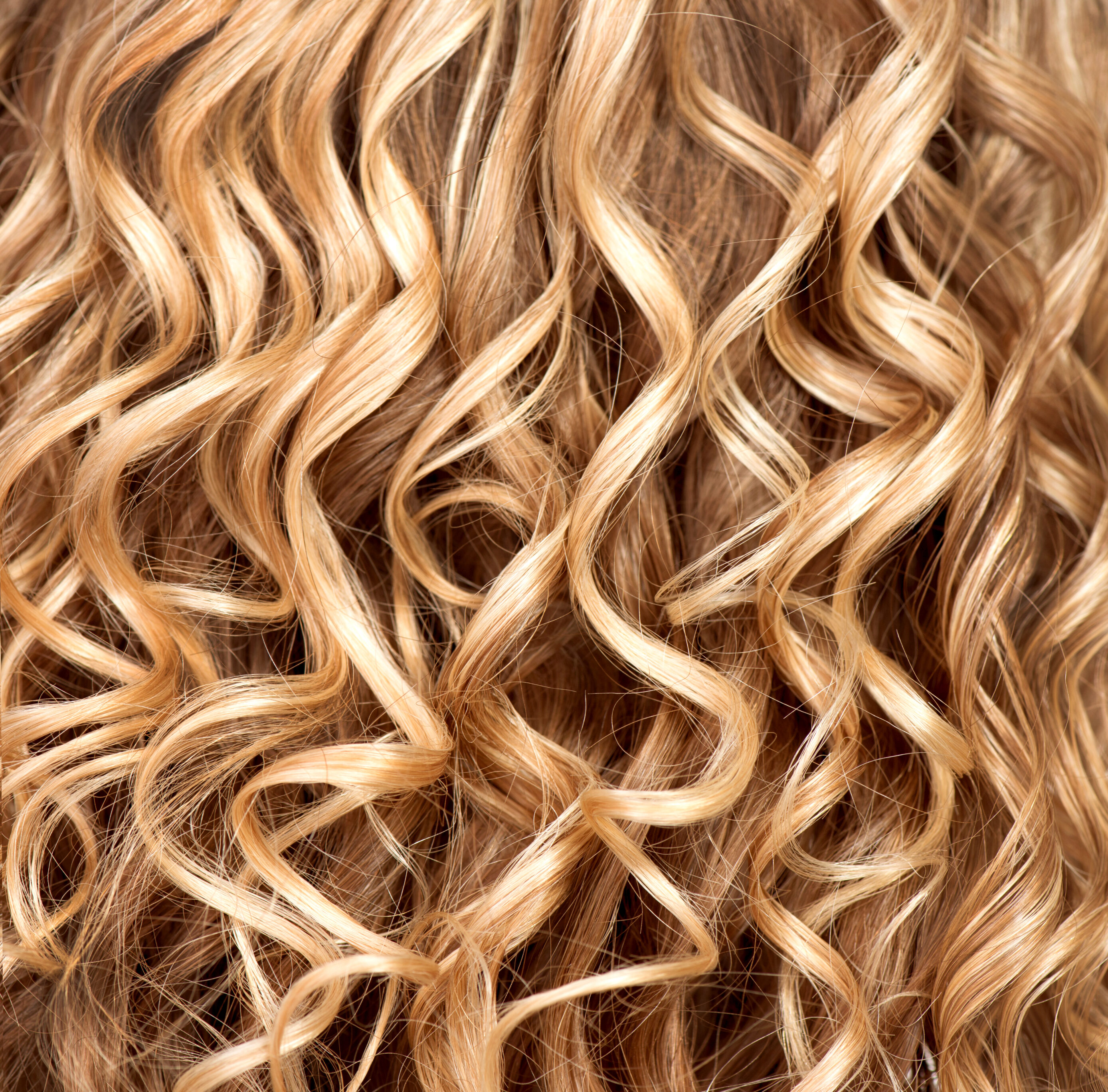 The close-up texture of permed hair