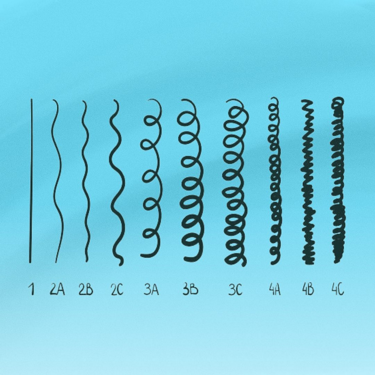 Hair Types